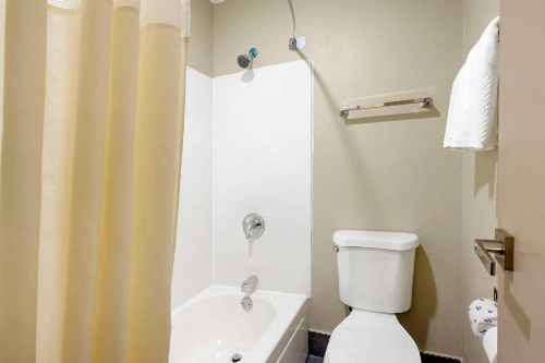 Quality Inn Jackson image 8